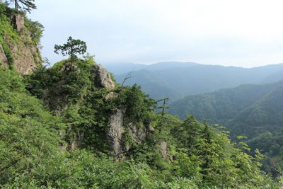 冠山